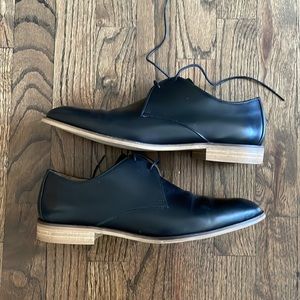 Everlane Modern Oxford